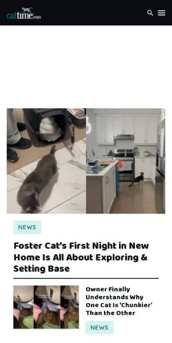 Preview of the CatTime website, a media outlet in United States for sponsored articles