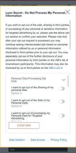スポンサード記事向けのフランスメディア、Lyon Secretのサイトプレビュー