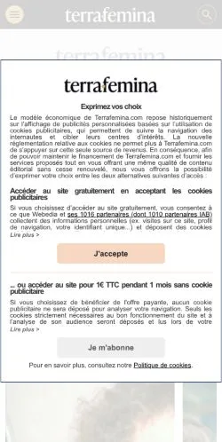 스폰서 기사용 프랑스 매체 Terrafemina 사이트 미리보기