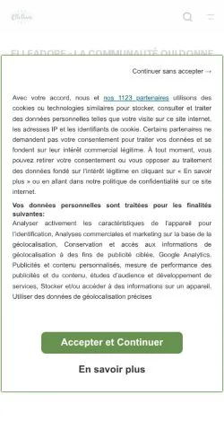 Vista previa del sitio ElleAdore, medio de Francia para artículos patrocinados