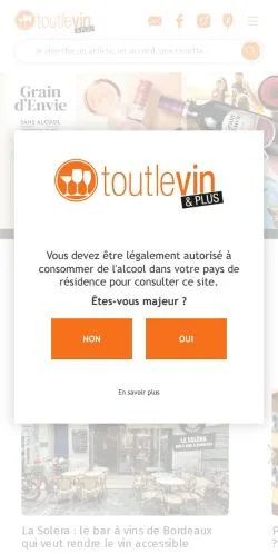 Vorschau der Website Toutlevin, Medium aus Frankreich für gesponserte Artikel