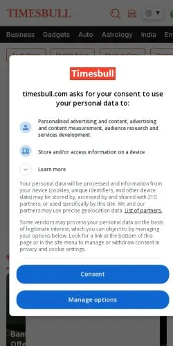スポンサード記事向けのアメリカ合衆国メディア、Timesbullのサイトプレビュー