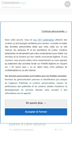 Anteprima del sito EcommerceMag, media di Francia per articoli sponsorizzati