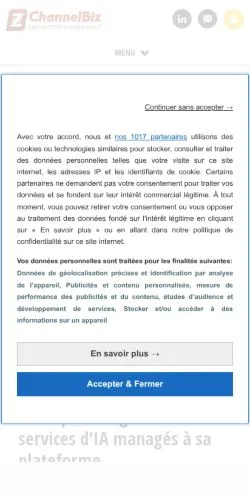 Anteprima del sito ChannelBiz, media di Francia per articoli sponsorizzati