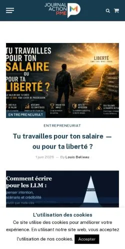 Preview of the Journal Action PME website, a media outlet in France for sponsored articles