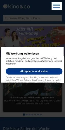 スポンサード記事向けのドイツメディア、Kino & Coのサイトプレビュー