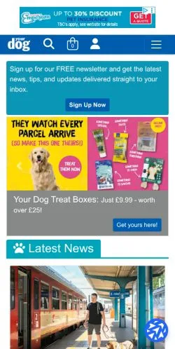 スポンサード記事向けのイギリスメディア、Your Dogのサイトプレビュー