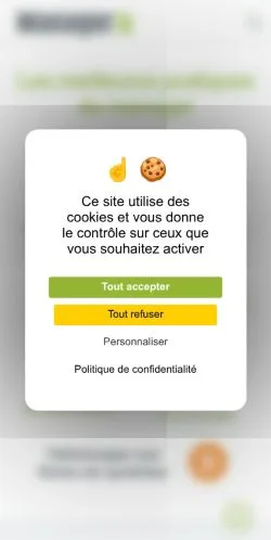 Pré-visualização do site Manager GO!, meio de França para artigos patrocinados