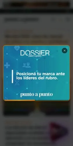 Anteprima del sito Punto a Punto, media di Argentina per articoli sponsorizzati