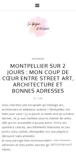 Aperçu du site Le Bazar d'Alison, média de France pour articles sponsorisés