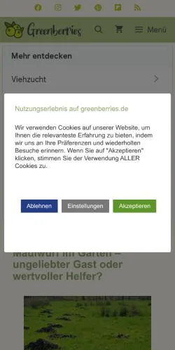 スポンサード記事向けのドイツメディア、Greenberriesのサイトプレビュー
