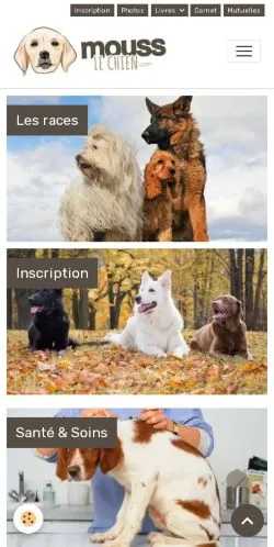 Anteprima del sito Mouss Le Chien, media di Francia per articoli sponsorizzati
