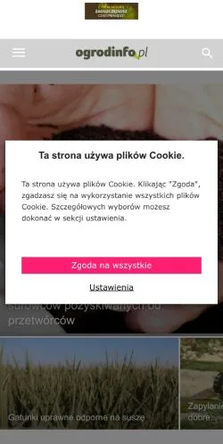 Anteprima del sito Ogrodinfo, media di Polonia per articoli sponsorizzati