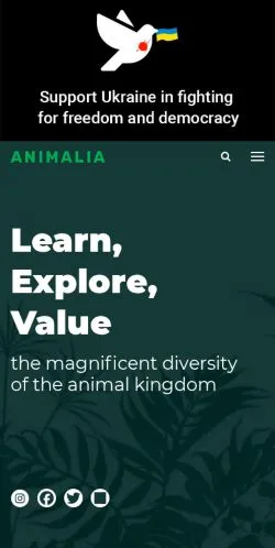 Anteprima del sito Animalia, media di Stati Uniti per articoli sponsorizzati