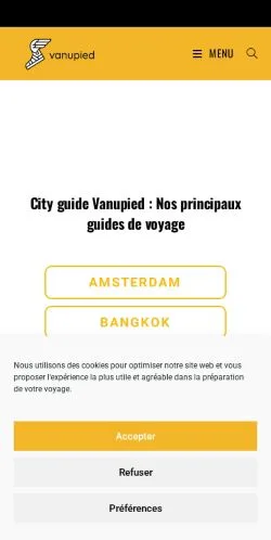 スポンサード記事向けのフランスメディア、Vanupiedのサイトプレビュー