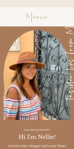 Anteprima del sito Mexico Travel Blog, media di Stati Uniti per articoli sponsorizzati