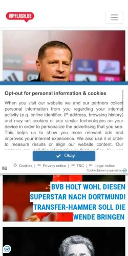 Vorschau der Website Vipflash, Medium aus Deutschland für gesponserte Artikel