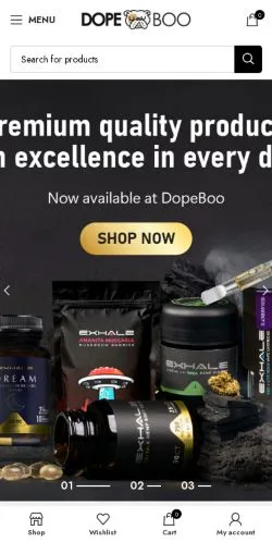 스폰서 기사용 미국 매체 DopeBoo 사이트 미리보기