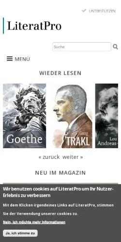 Podgląd witryny LiteratPro, medium z kraju Niemcy do artykułów sponsorowanych
