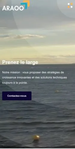 スポンサード記事向けのフランスメディア、Araooのサイトプレビュー