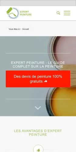 Anteprima del sito Expert-Peinture, media di Francia per articoli sponsorizzati