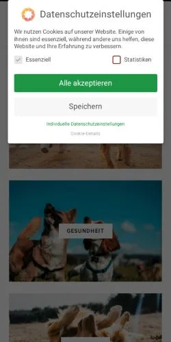Vista previa del sitio PETOU, medio de Alemania para artículos patrocinados