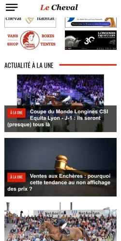 スポンサード記事向けのフランスメディア、Lechevalのサイトプレビュー