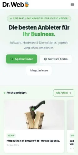 スポンサード記事向けのドイツメディア、Dr. Webのサイトプレビュー
