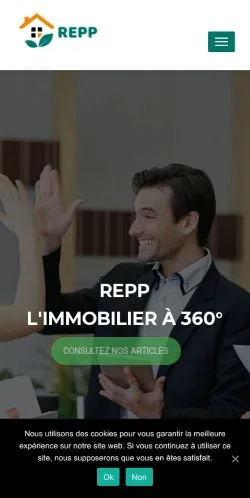 Preview of the Repp website, a media outlet in France for sponsored articles