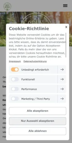 Anteprima del sito Grün Denken, media di Germania per articoli sponsorizzati