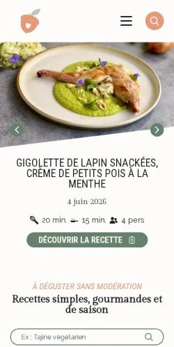 Podgląd witryny Les Pépites De Noisette, medium z kraju Francja do artykułów sponsorowanych