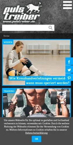 Voorbeeld van de site Pulstreiber, medium uit Duitsland voor gesponsorde artikelen