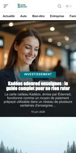 Anteprima del sito Little Breizh, media di Francia per articoli sponsorizzati