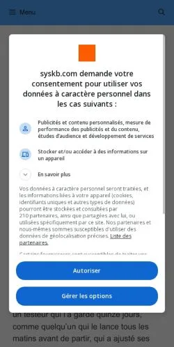 Aperçu du site SysKB, média de France pour articles sponsorisés
