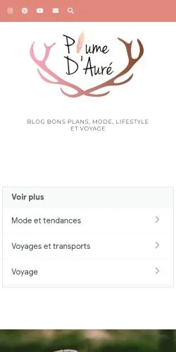 Vorschau der Website Plume d'Auré, Medium aus Frankreich für gesponserte Artikel