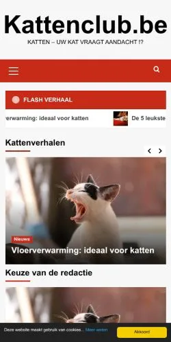 스폰서 기사용 벨기에 매체 Kattenclub 사이트 미리보기