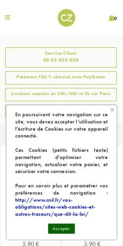 スポンサード記事向けのフランスメディア、eCig Zenのサイトプレビュー