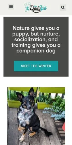 Anteprima del sito The Daily Tail, media di Stati Uniti per articoli sponsorizzati