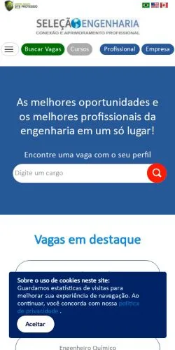 Anteprima del sito Seleção Engenharia, media di Brasile per articoli sponsorizzati