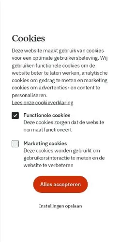 スポンサード記事向けのオランダメディア、Groninger Internet Courantのサイトプレビュー