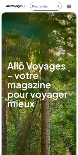 Podgląd witryny Allovoyages, medium z kraju Francja do artykułów sponsorowanych