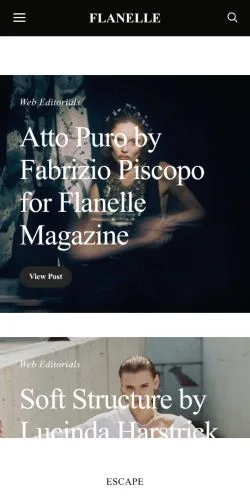 스폰서 기사용 미국 매체 Flanelle Magazine 사이트 미리보기