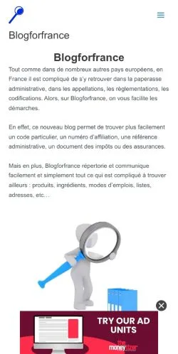 Anteprima del sito Blogforfrance, media di Francia per articoli sponsorizzati