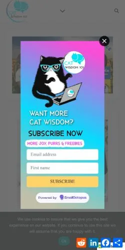 Forhåndsvisning af Cat Wisdom 101, medie fra USA til sponsorerede artikler