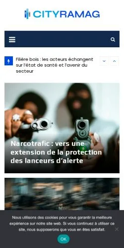 Anteprima del sito Cityramag, media di Francia per articoli sponsorizzati