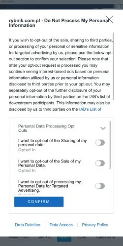 スポンサード記事向けのポーランドメディア、Rybnikのサイトプレビュー