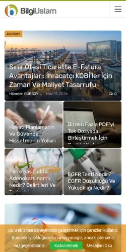 Preview of the Bilgiustam website, a media outlet in Türkiye for sponsored articles