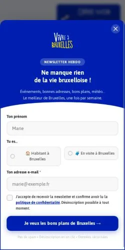 Podgląd witryny Vivre à Bruxelles, medium z kraju Belgia do artykułów sponsorowanych