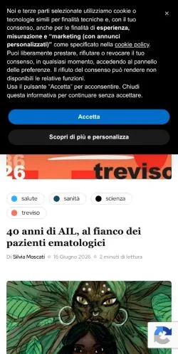Anteprima del sito Il Nuovo Terraglio, media di Italia per articoli sponsorizzati