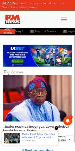 스폰서 기사용 미국 매체 PM News Nigeria 사이트 미리보기